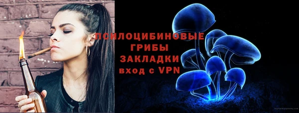 индика Абдулино