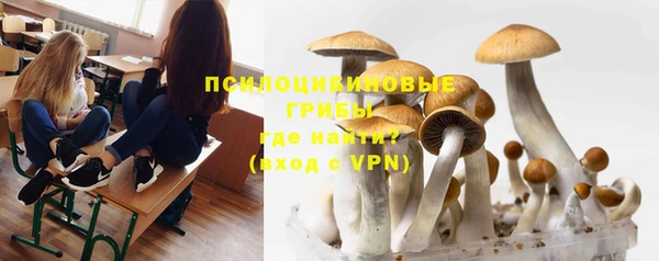твердый Абаза