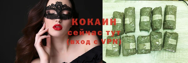 индика Абдулино