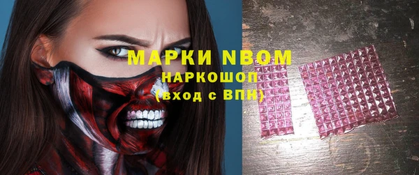 твердый Абаза