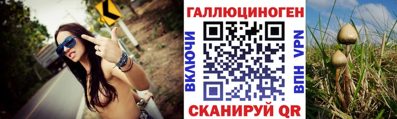 Псилоцибиновые грибы ЛСД Курск